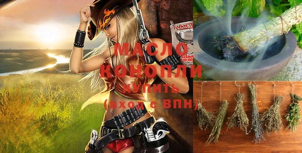 spice Богородицк