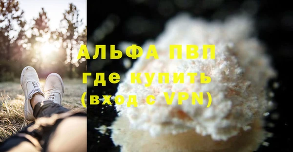 spice Богородицк