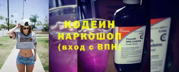 spice Богородицк