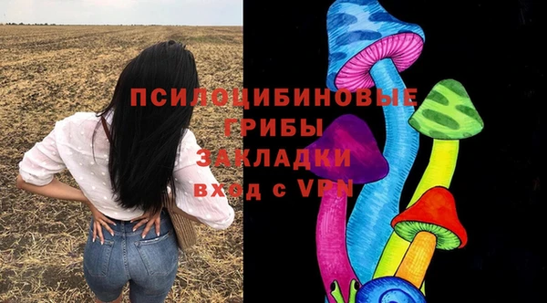 mix Богородск