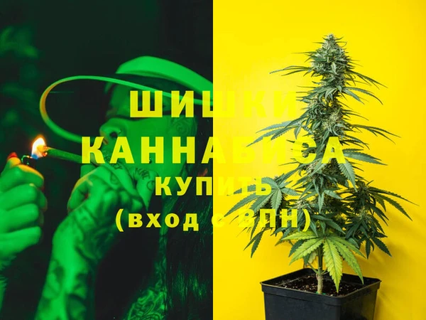 spice Богородицк