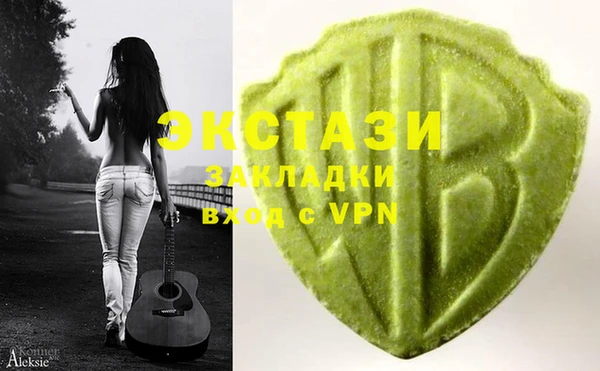 spice Богородицк
