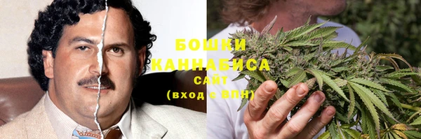 spice Богородицк